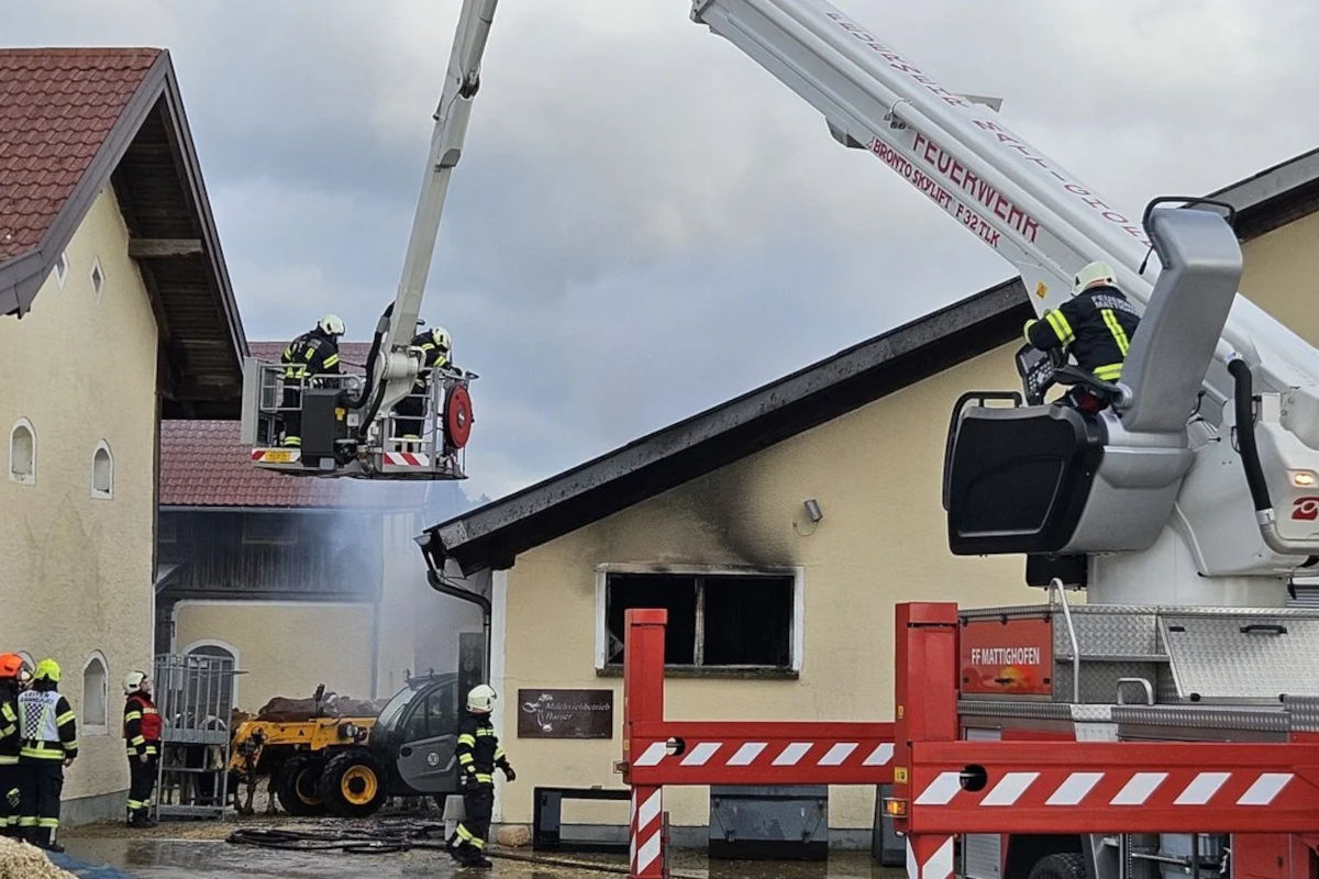 Braunau OÖ – Rinder gerettet bei Brand auf Bauernhof