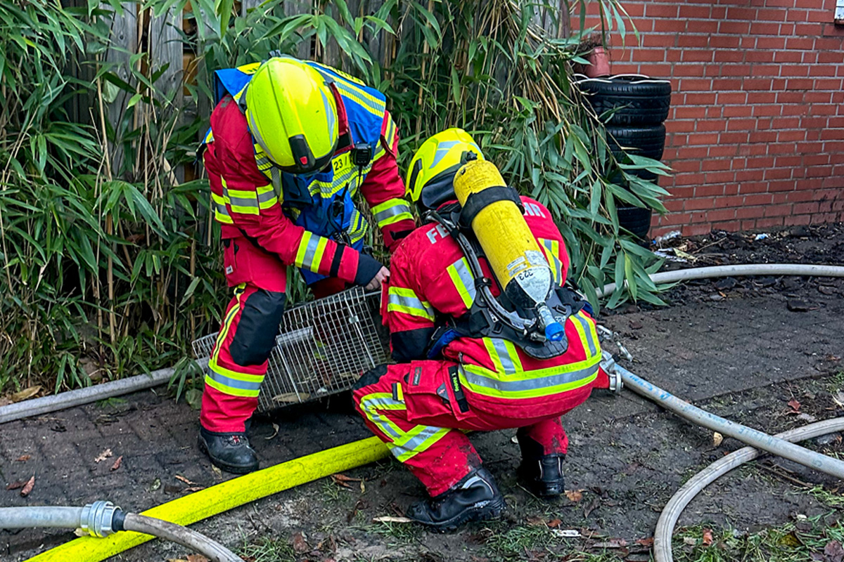 Eicklingen NI – Großeinsatz bei Dachstuhlbrand in Mehrfamilienhaus