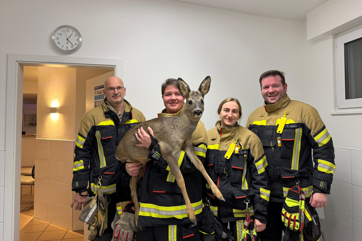 Vallendar RP – Feuerwehr befreit Reh aus Zaun