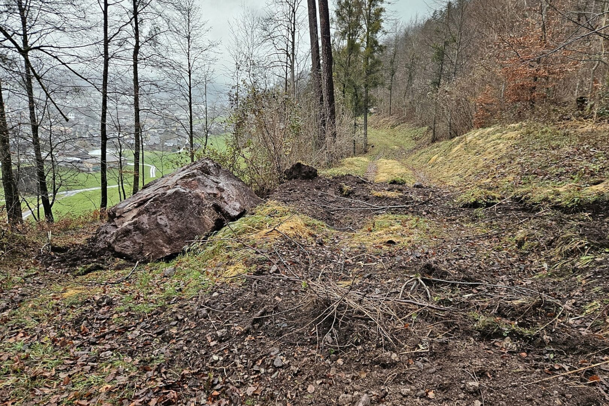 Ennenda GL – Blockschlag dank Schutzwald ohne Personenschaden