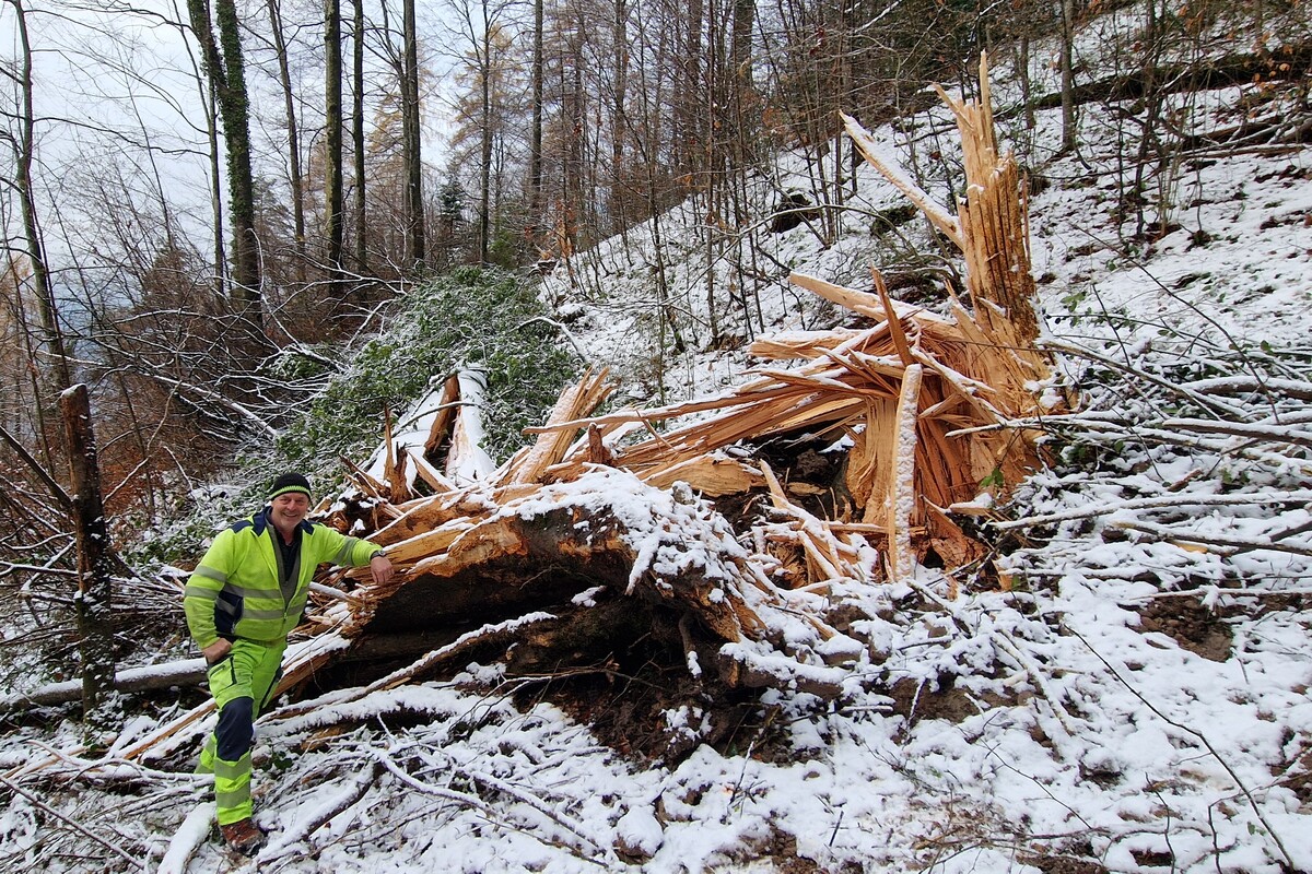 Walchwil ZG – 30-Tonnen-Felsblock beschädigt Hinterbergstrasse