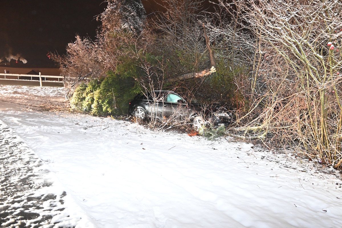 Unfall in Gossau SG – Betrunken gegen Baum gekracht