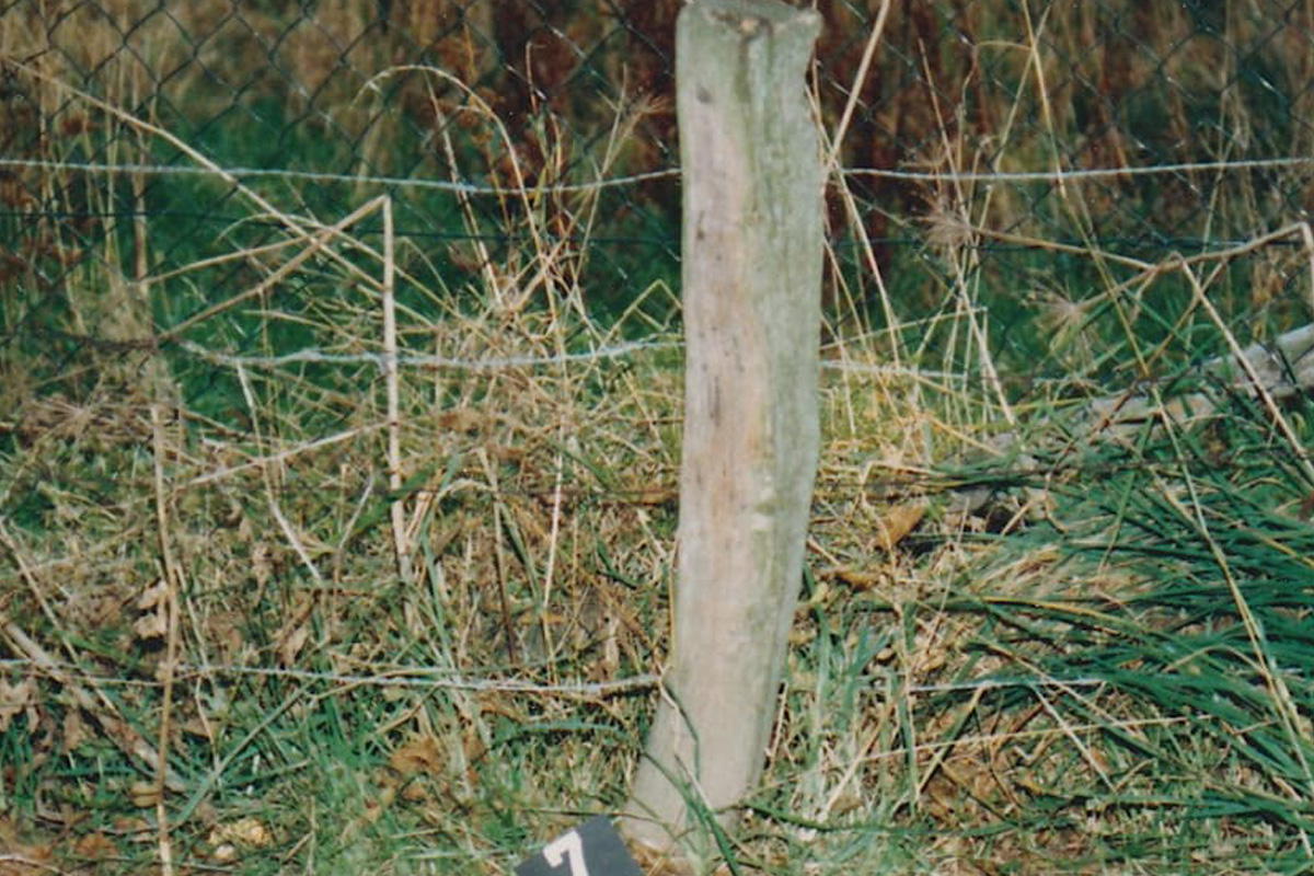 Cold Case – Neue Spur im Mordfall der 5-jährigen Zeynep nach "Aktenzeichen XY"