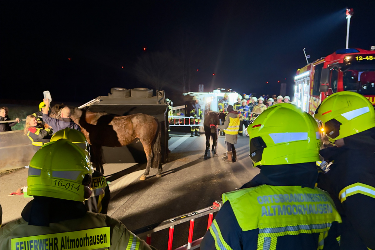A28 Oldenburg NI – Pferdetransporter kippt auf Autobahn um