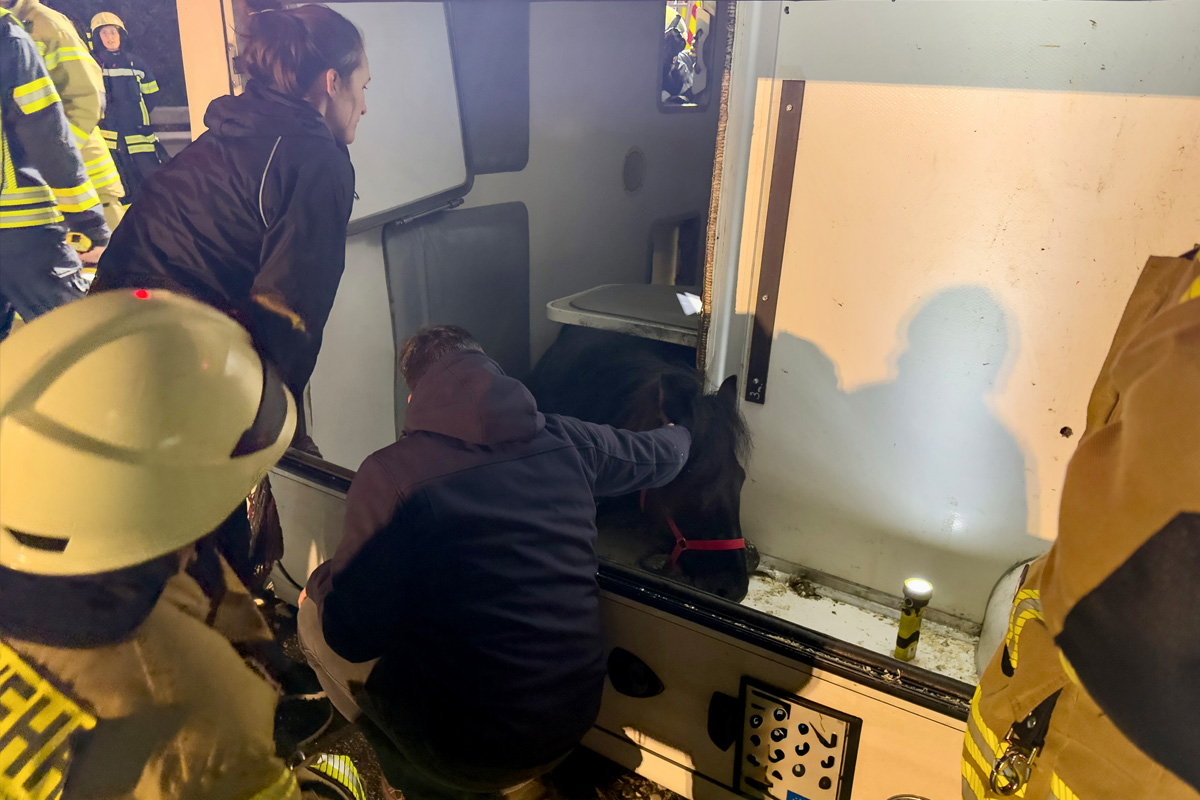 A28 Oldenburg NI – Pferdetransporter kippt auf Autobahn um