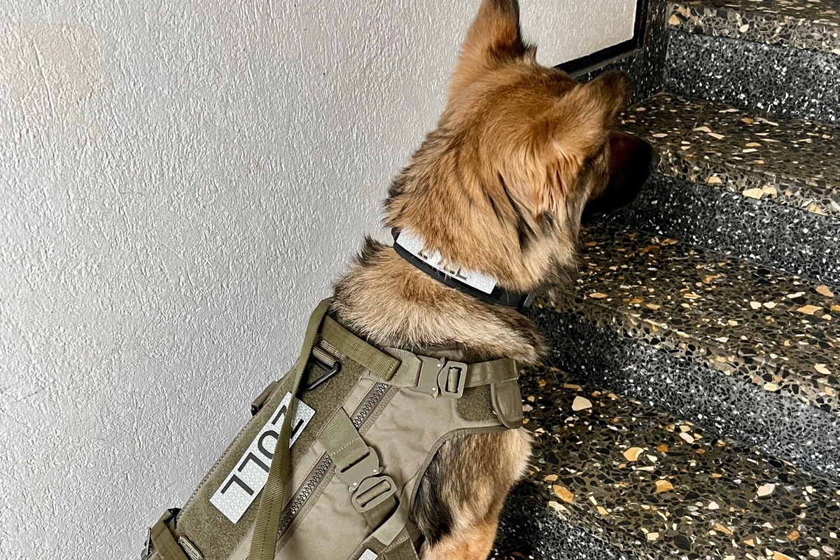 Nordrhein-Westfalen – Zoll hebt illegale Shisha-Tabak-Produktion aus