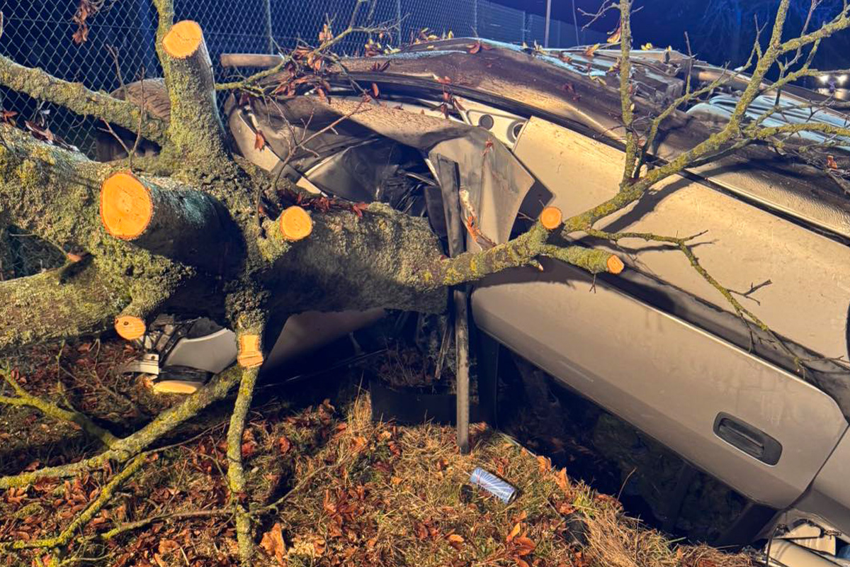 Bad Düben SN – 22‑Jähriger stirbt nach schwerem Unfall