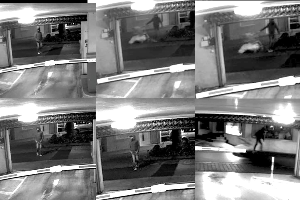 Cold Case – Neue Ermittlungen zum Mord an Diana Bodi