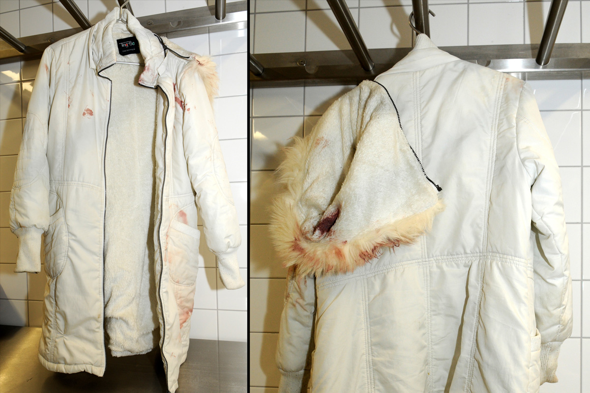 Cold Case – Neue Ermittlungen zum Mord an Diana Bodi