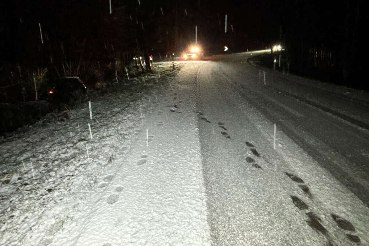 Unfall Fulenbach (1)