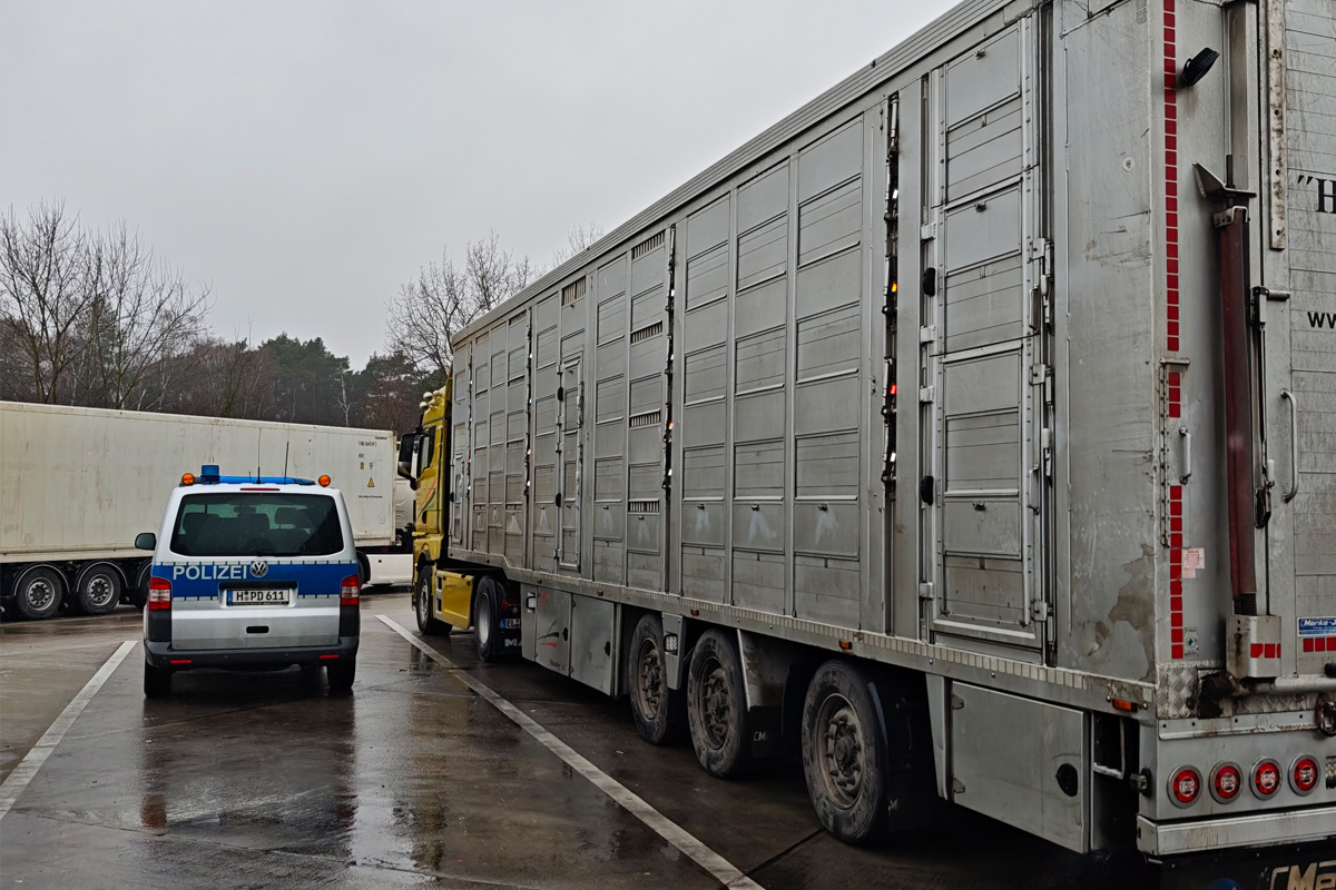 Hannover – 17 Verstöße bei Kontrolle von Tiertransporten