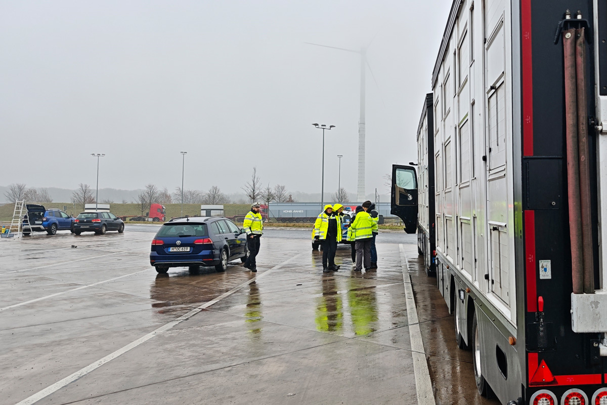 Hannover – 17 Verstöße bei Kontrolle von Tiertransporten