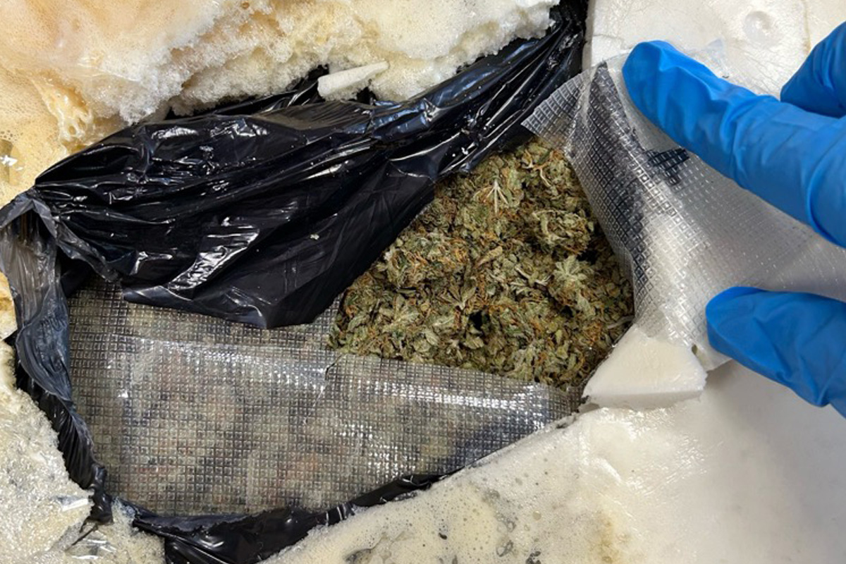 Stralsund – Über 86 Kilogramm Marihuana in Paketsendungen