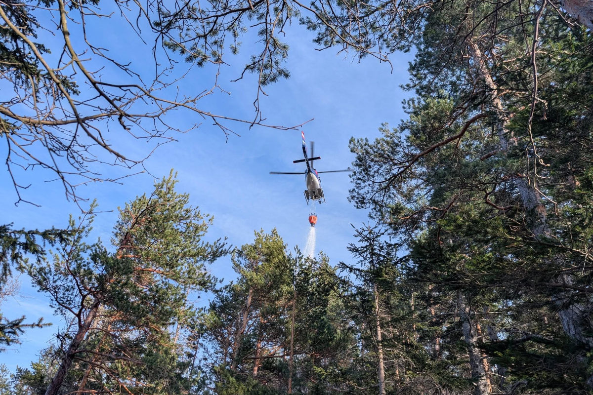 Rinnegg – Brand nach Picknick im Waldgebiet am Novystein