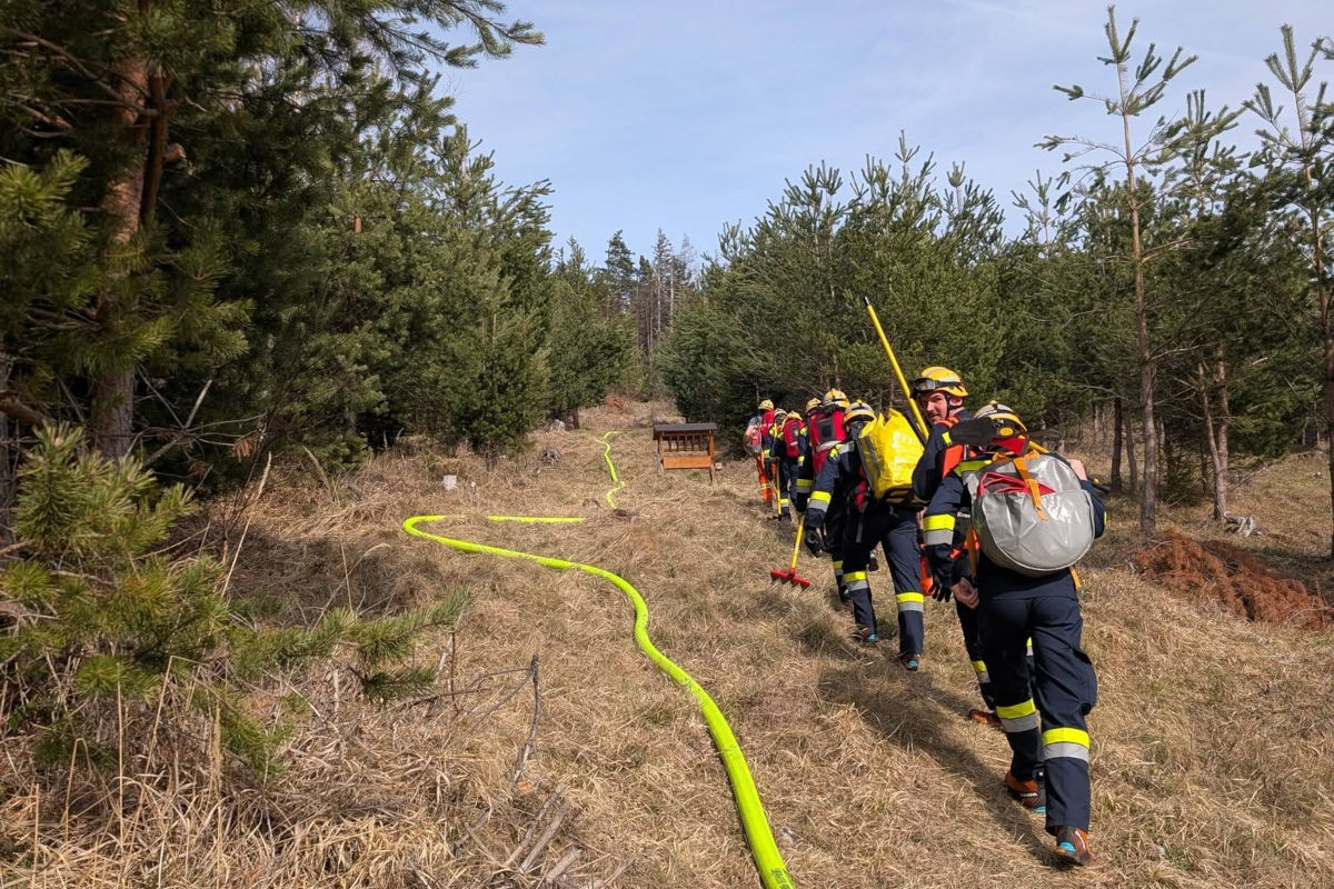 Rinnegg – Brand nach Picknick im Waldgebiet am Novystein