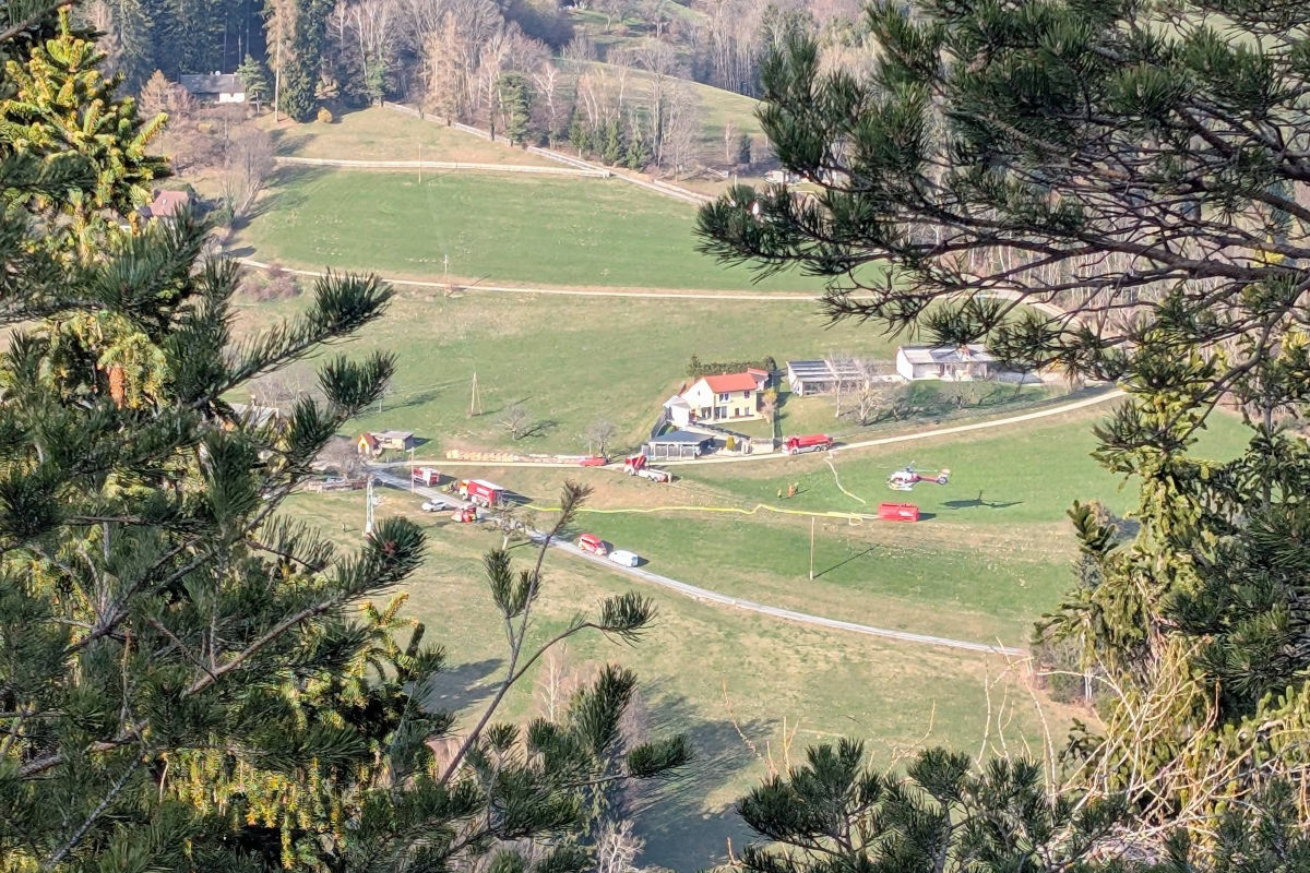 Rinnegg – Brand nach Picknick im Waldgebiet am Novystein