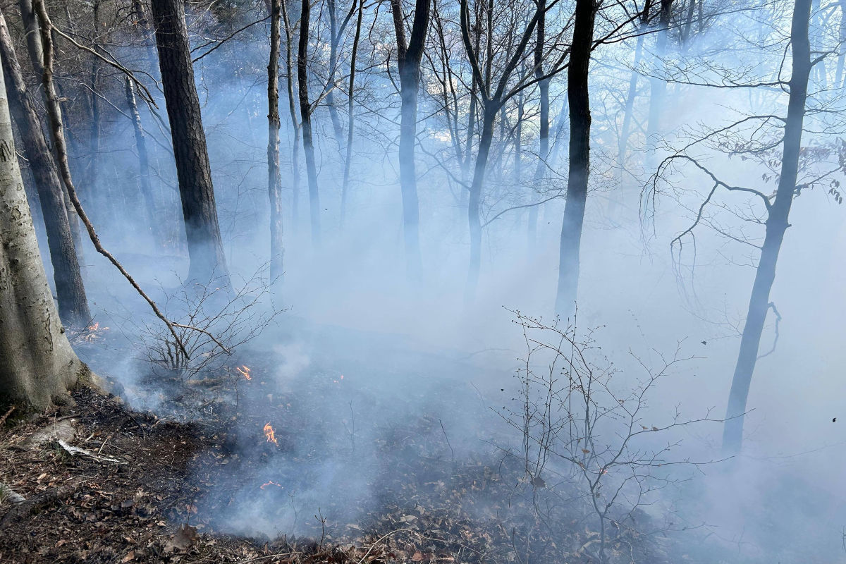 Judendorf – Kinder verursachen Brand durch Zündeln