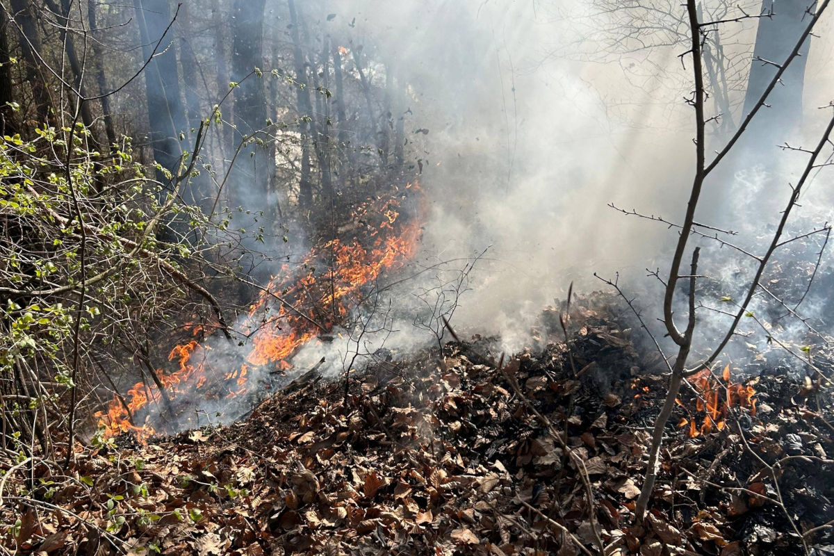 Judendorf – Kinder verursachen Brand durch Zündeln