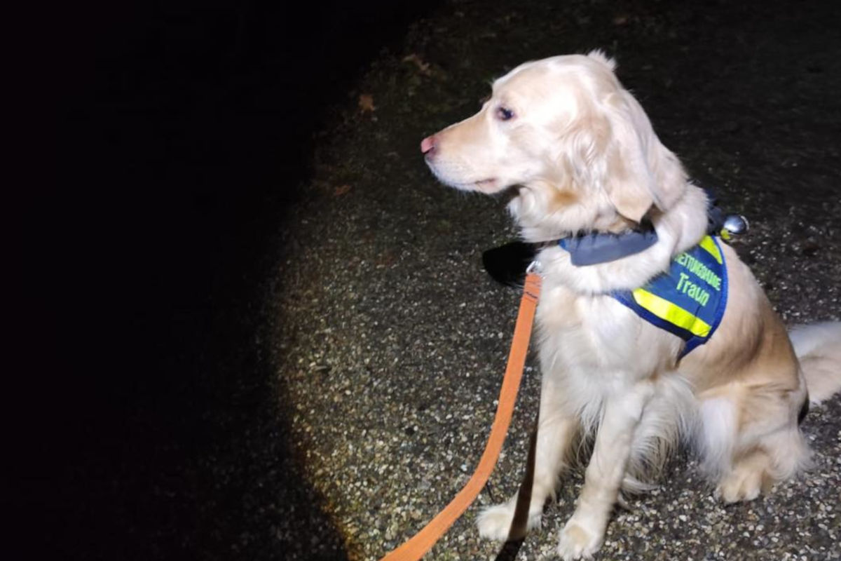 Traun – Vermisste Person nach Suche mit Hundestaffel gefunden