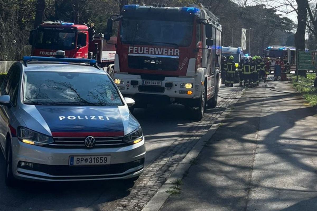 Unfall in Baden – Pkw prallt gegen Baum
