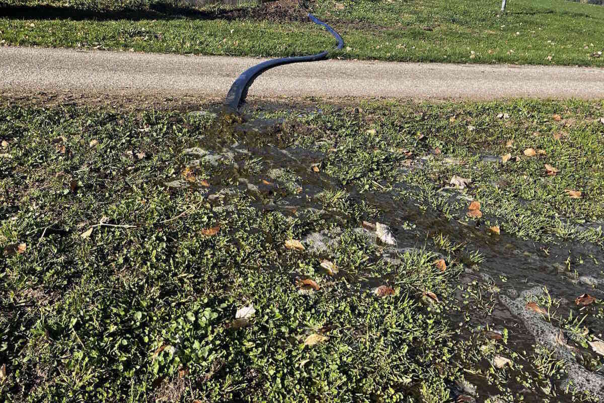 Nesslau SG – Gülle verschmutzt Bach