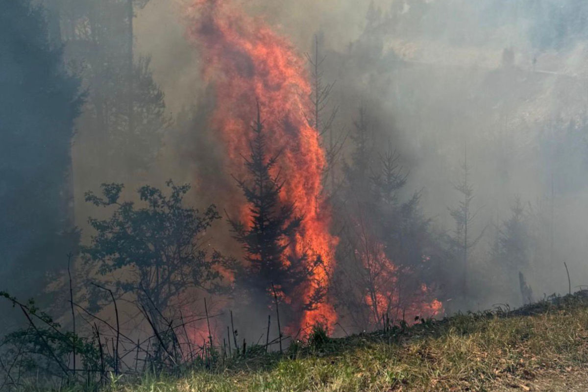 Eisbach-Rain – 160 Feuerwehrleute wegen Waldbrand im Einsatz