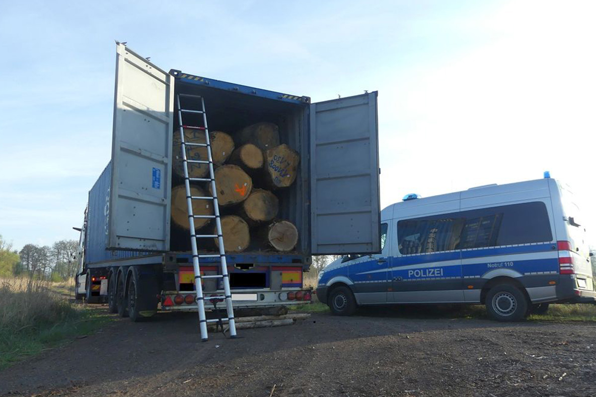Alsfeld – Sattelzug mit Eichenholz zu schwer und falsch beladen