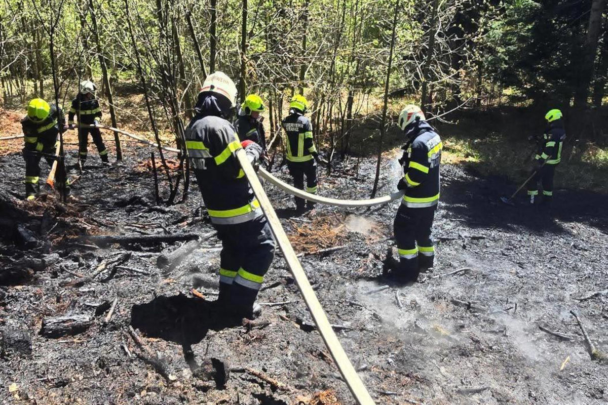 Mehrere Feuerwehrleute in Schutzkleidung arbeiten gemeinsam an einer Waldbrandstelle. Der Boden ist dunkel und verkohlt.