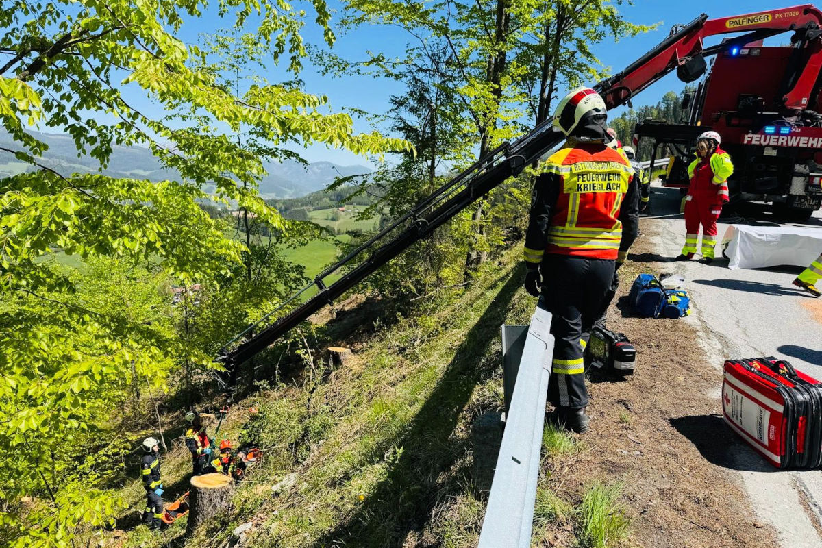 Mehrere Feuerwehrleute arbeiten an einer steilen Böschung. Ein Feuerwehrfahrzeug ist im Hintergrund zu sehen, umgeben von Bäumen und einem sonnigen Tal im Hintergrund.