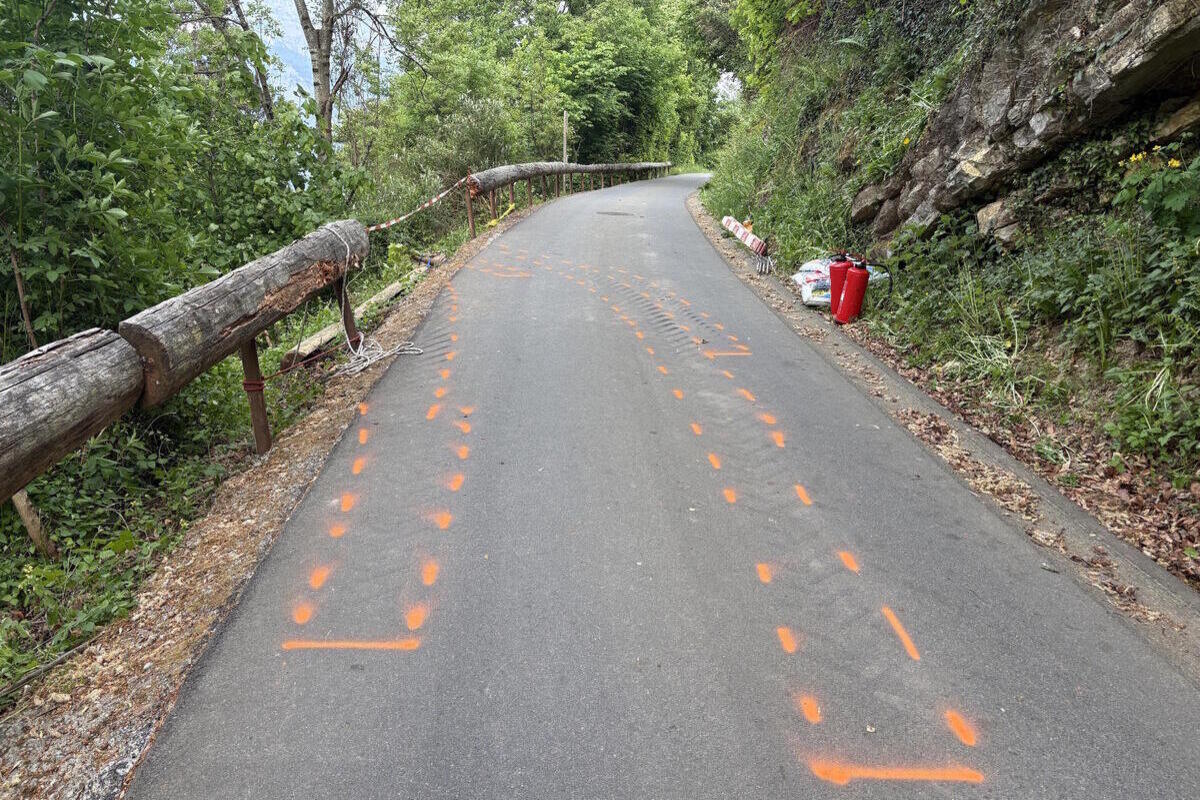Eine asphaltierte Straße mit orangen Markierungen verläuft durch eine bewaldete Umgebung. Links ist ein Holzgeländer und rechts sind Felsen und Vegetation sichtbar.