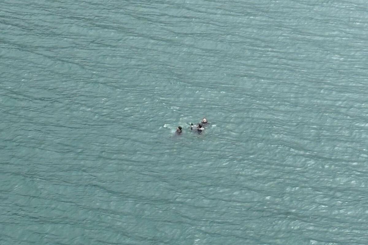 Vier Personen sind in einem Gewässer zu sehen, das von oben fotografiert wurde. Die Personen schwimmen oder treiben im ruhigen Wasser.
