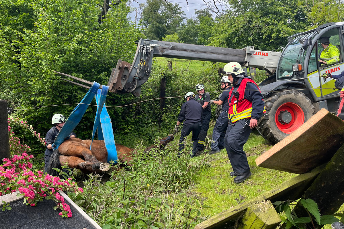 Mehrere Rettungskräfte sind abgebildet, während sie ein Pferd mit Gurten und einem Teleskoplader anheben. Sie befinden sich in einem grünen, bewaldeten Gelände.