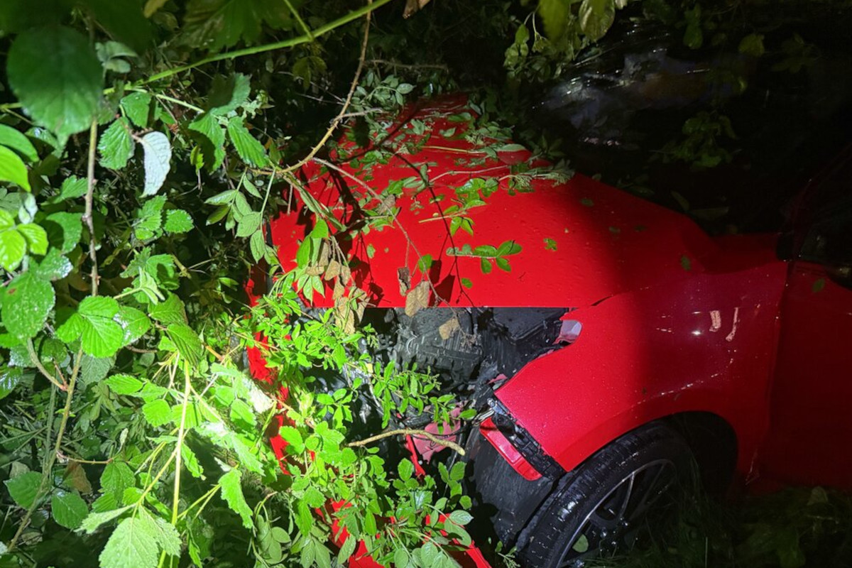 Ein rotes Auto steckt bei Nacht in dichtem Gebüsch fest. Pflanzen verdecken Teile des Fahrzeugs, das offensichtlich verunfallt ist.