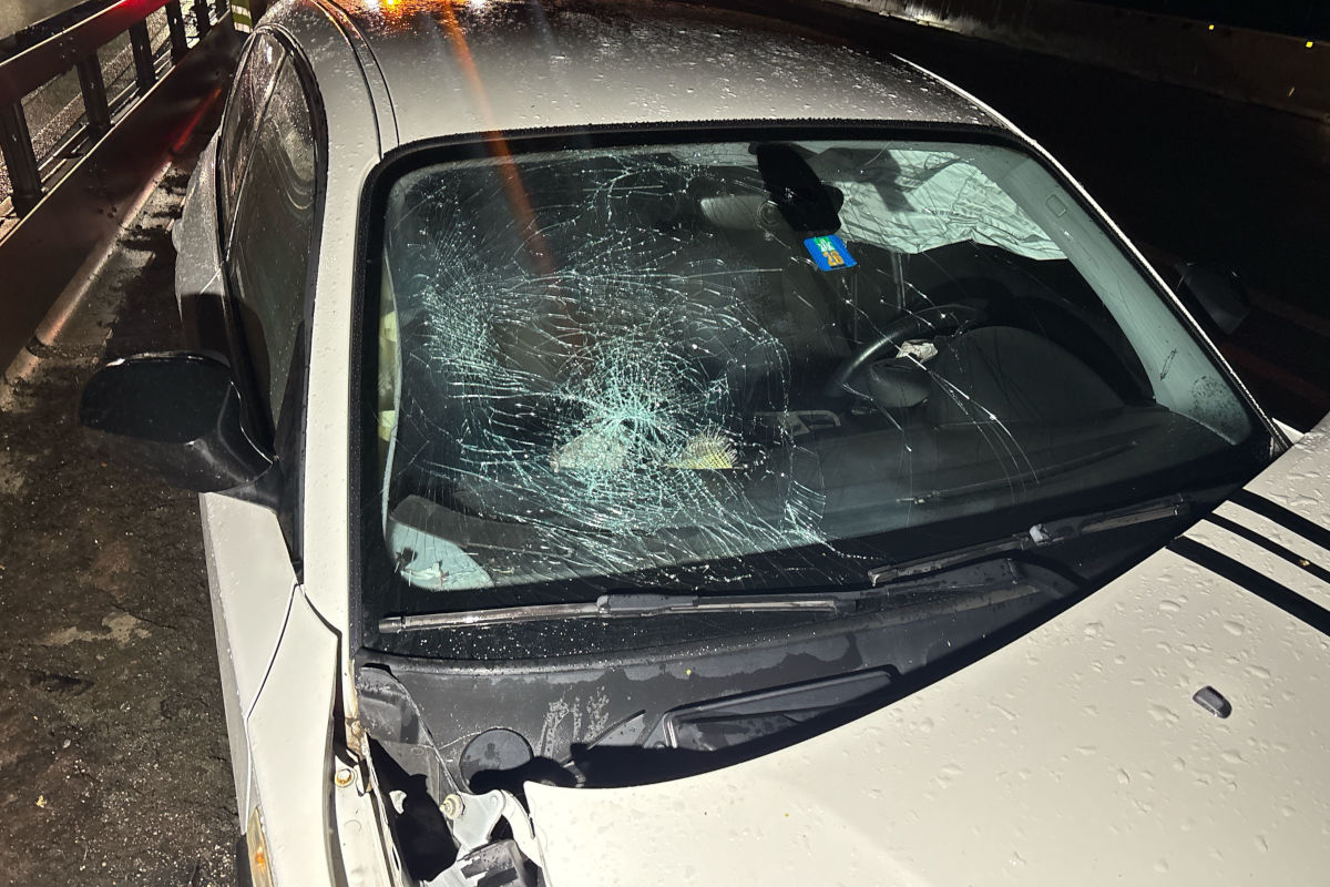 Verletzt wurde bei dem Selbstunfall niemand.