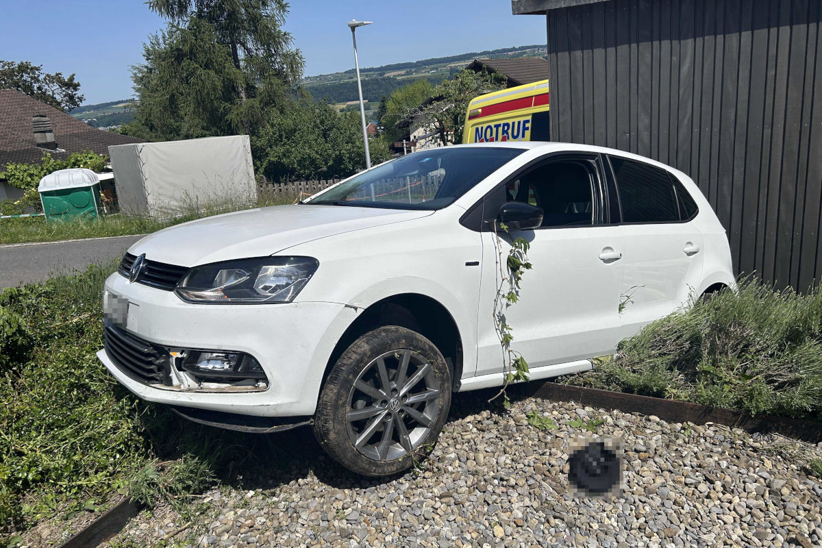 Die Polizei nahm der Lenkerin den Ausweis ab.