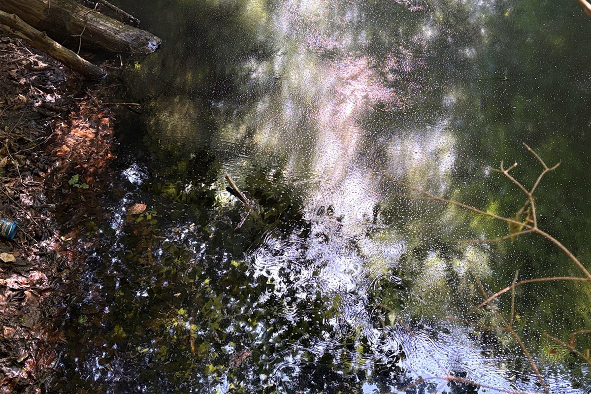 Die Feuerwehr saugte das Öl aus dem Bildhausweiher in Ricken ab.