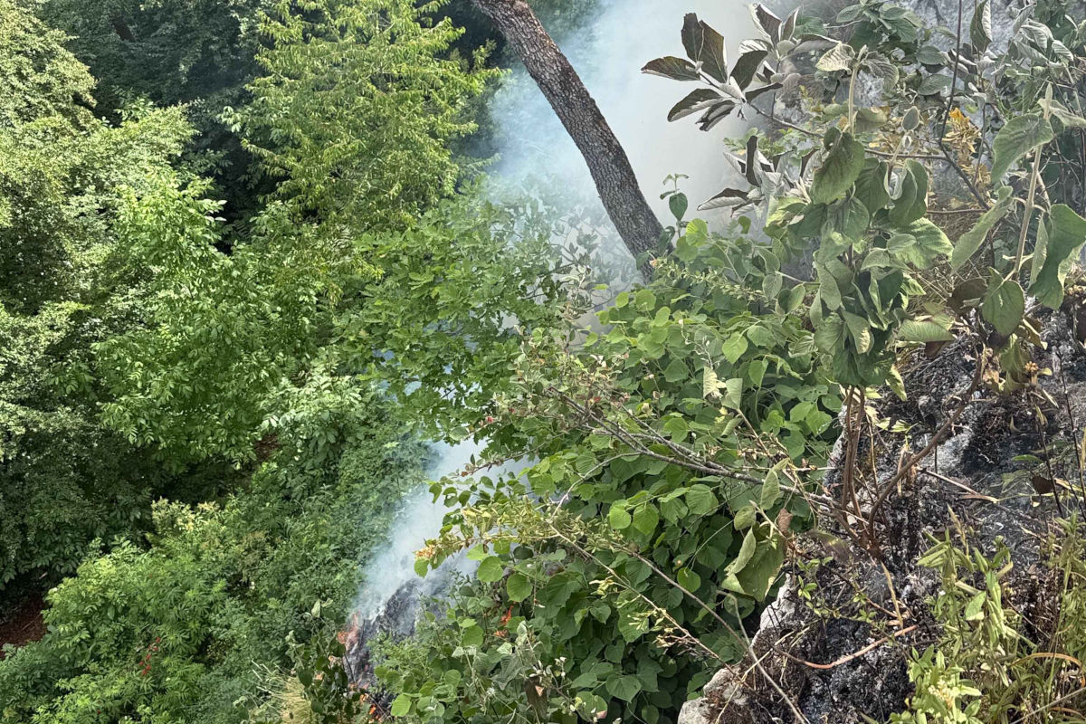 Die Einsatzkräfte mussten sich durch unwegsames Gelände zum Brandherd vorarbeiten.