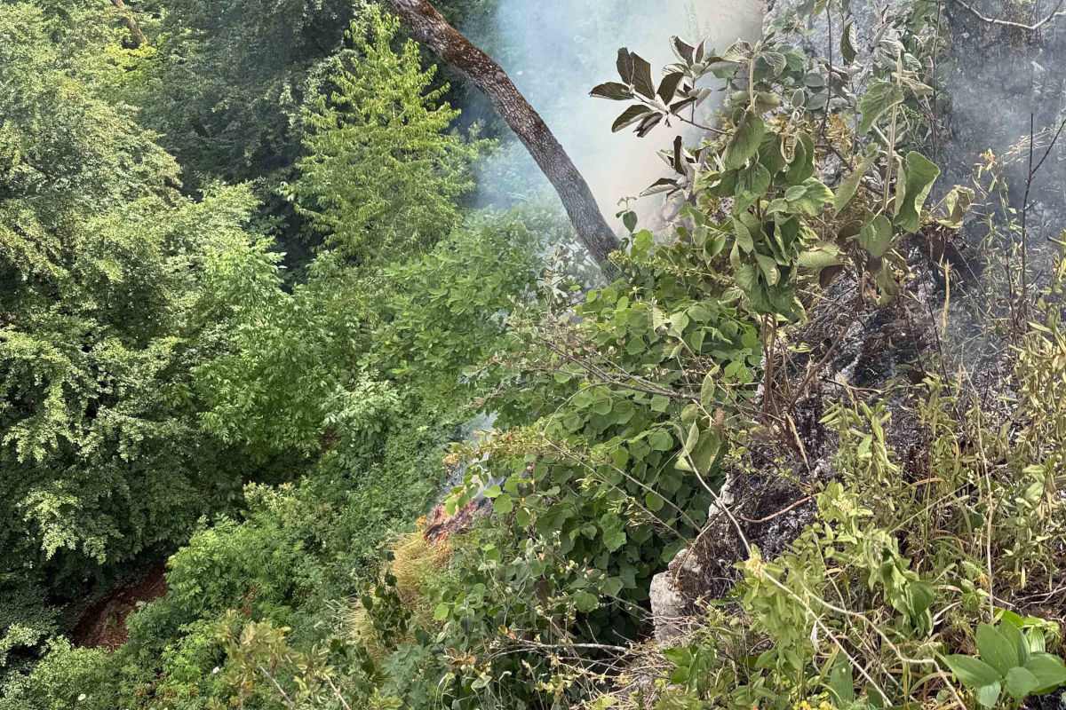 Der Brand breitete sich auf einer Fläche von rund 20 mal 20 Metern aus.