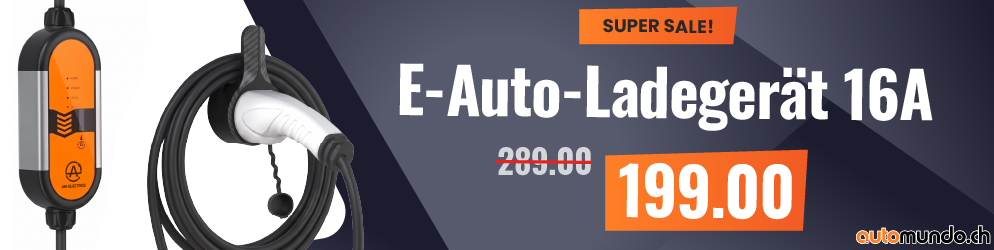 Automundo E Auto Ladegerat 16a