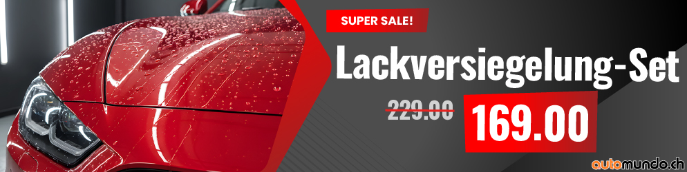 Automundo Lackversiegelung Set