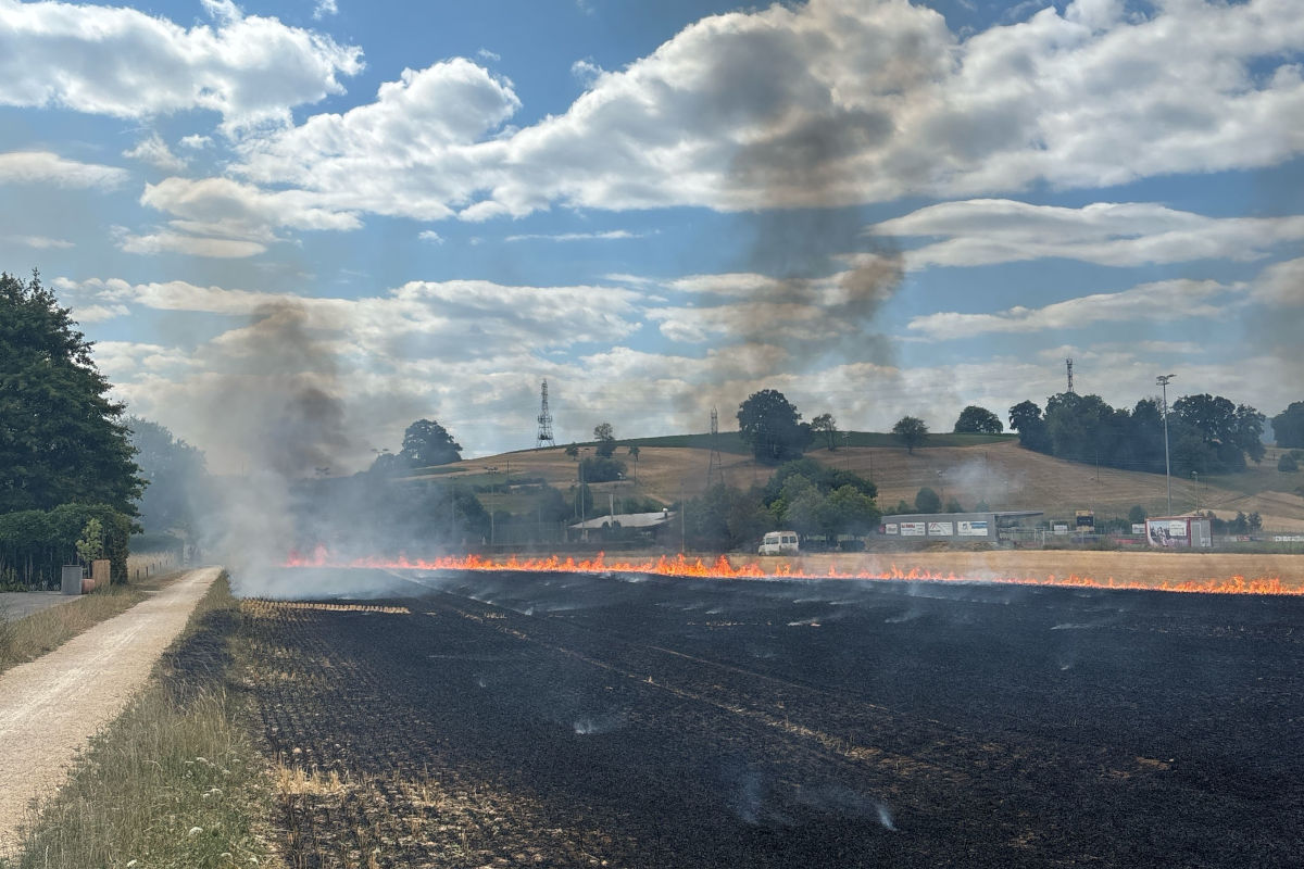Die Feuerwehr brachte den Flächenbrand rasch unter Kontrolle.