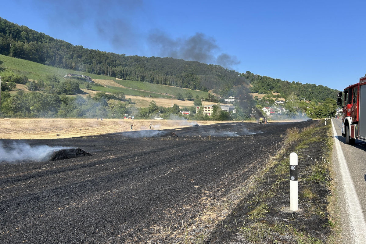 Die Feuerwehr konnte die Ausbreitung des Feldbrandes verhindern.