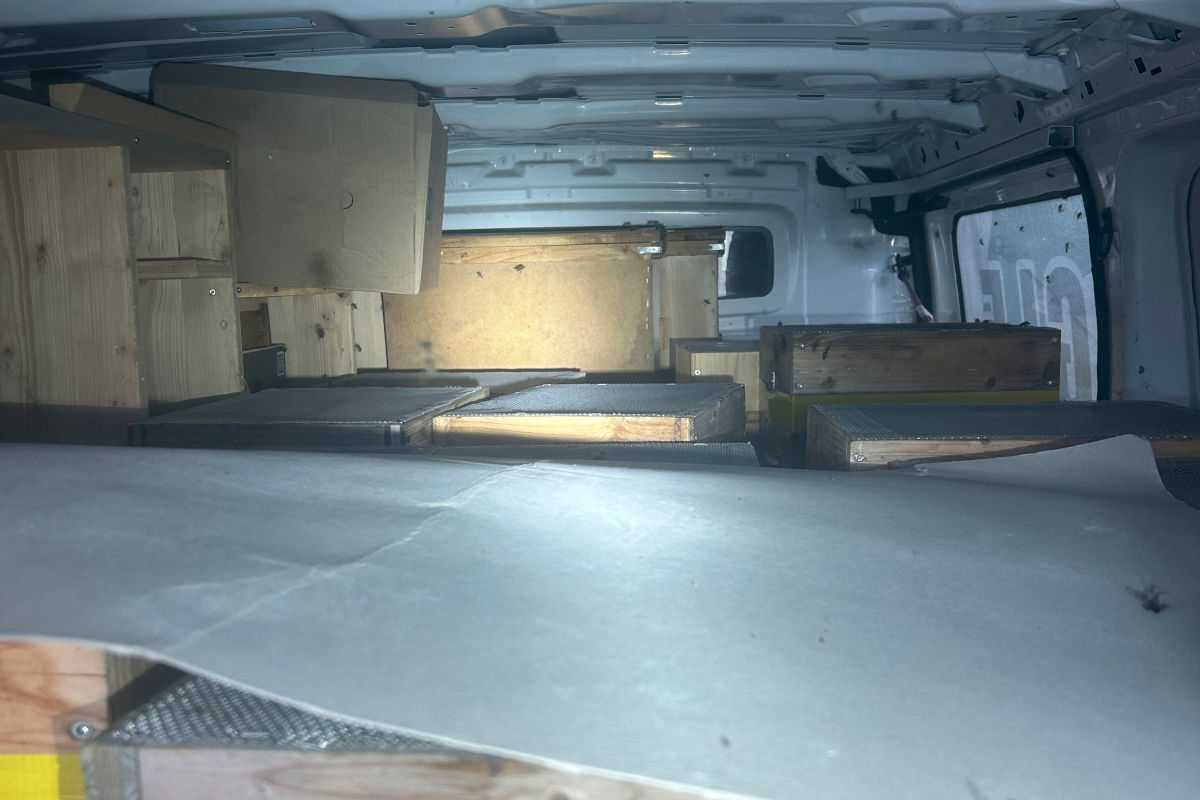 Wegen der fehlenden Importgenehmigung wurde die Einfuhr verweigert.