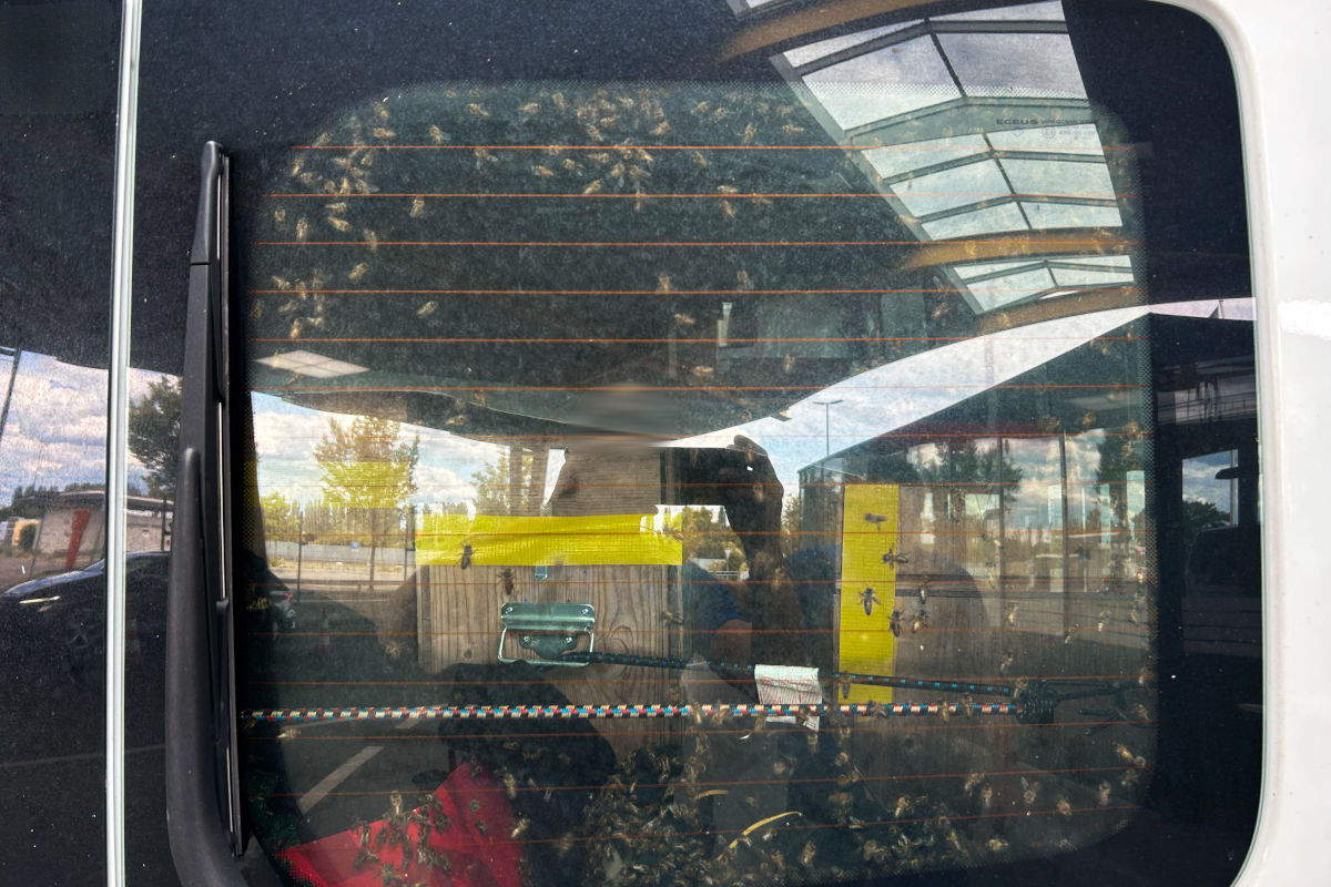 Der Lenker musste eine Busse bezahlen.