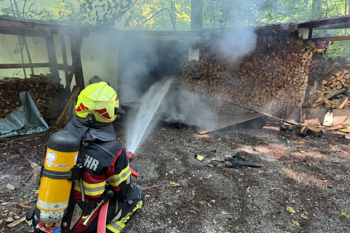 Die Feuerwehr konnte ein Übergreifen der Flammen auf ein Waldstück verhindern.