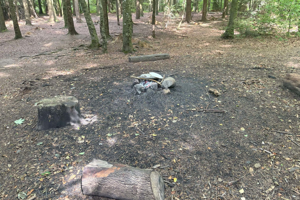 Ein Feuer geriet in Niederuzwil ausser Kontrolle und löste einen Feuerwehreinsatz aus.
