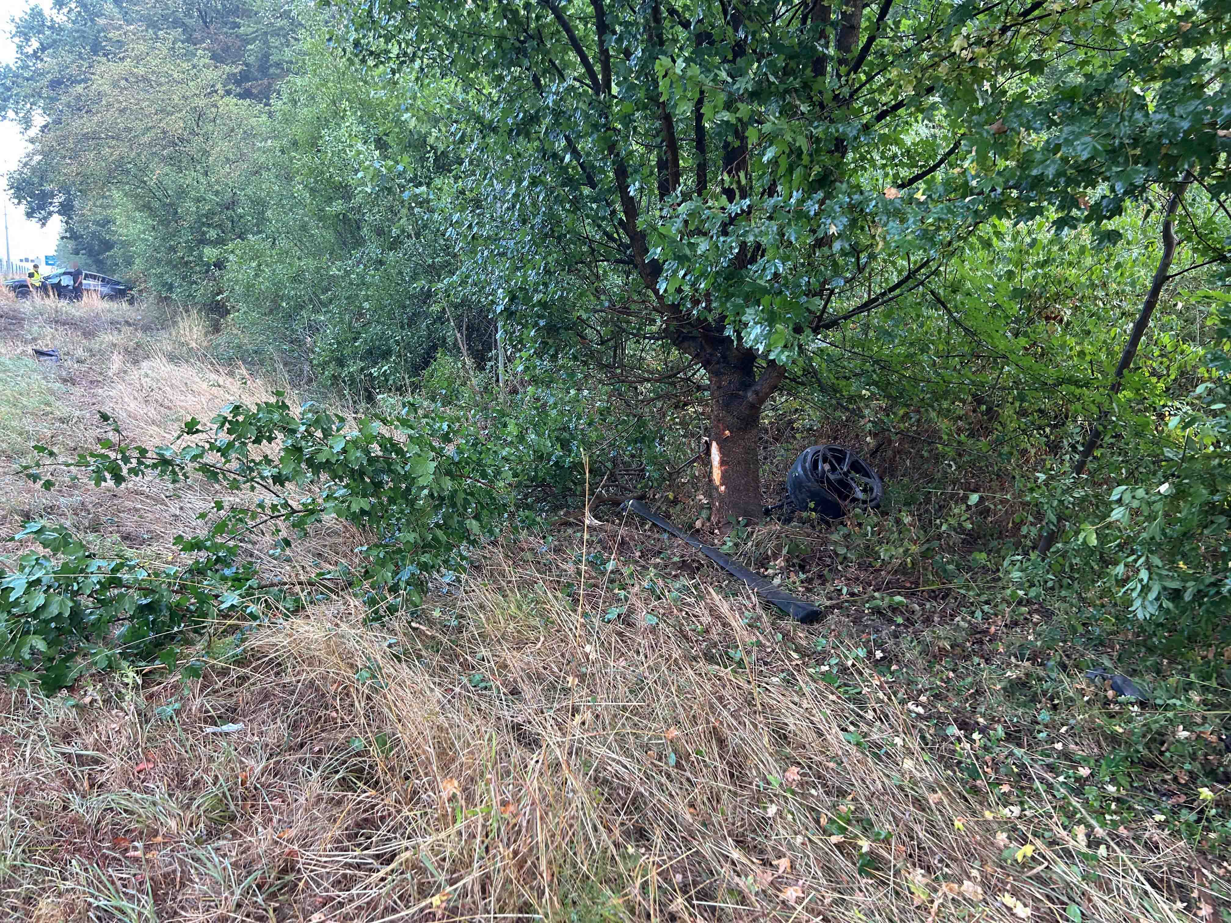 Verlassene Unfallstelle mit Baum und Autoreifen.