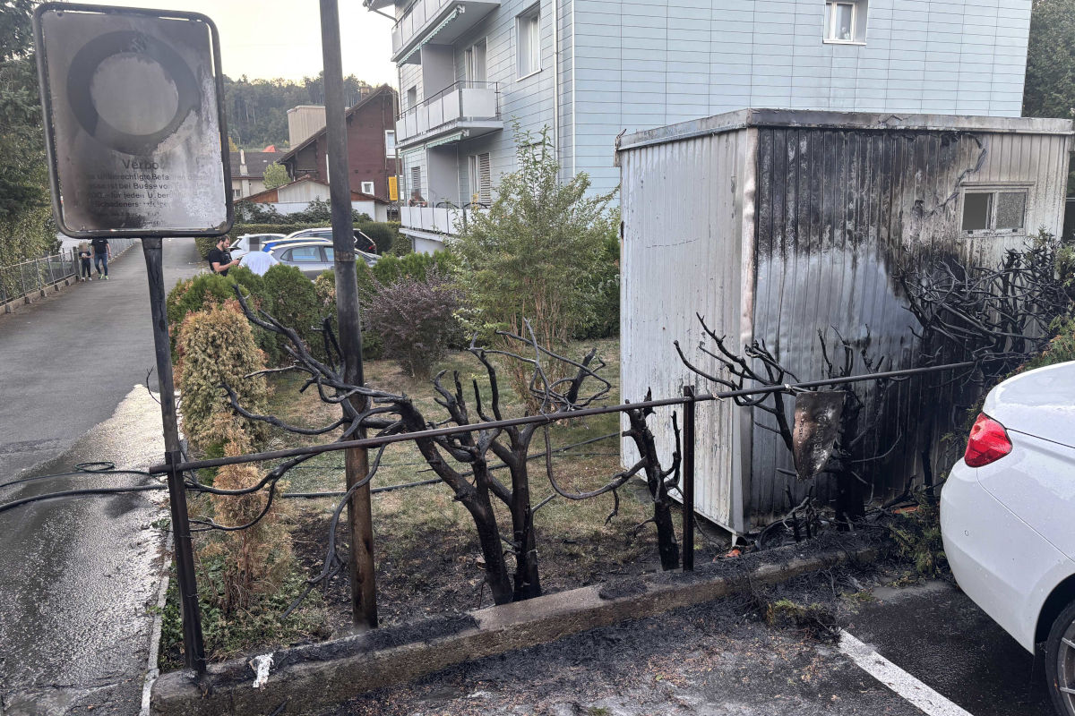 Kurz vor dem Brand wurden zwei Kinder bei der Hecke beobachtet.