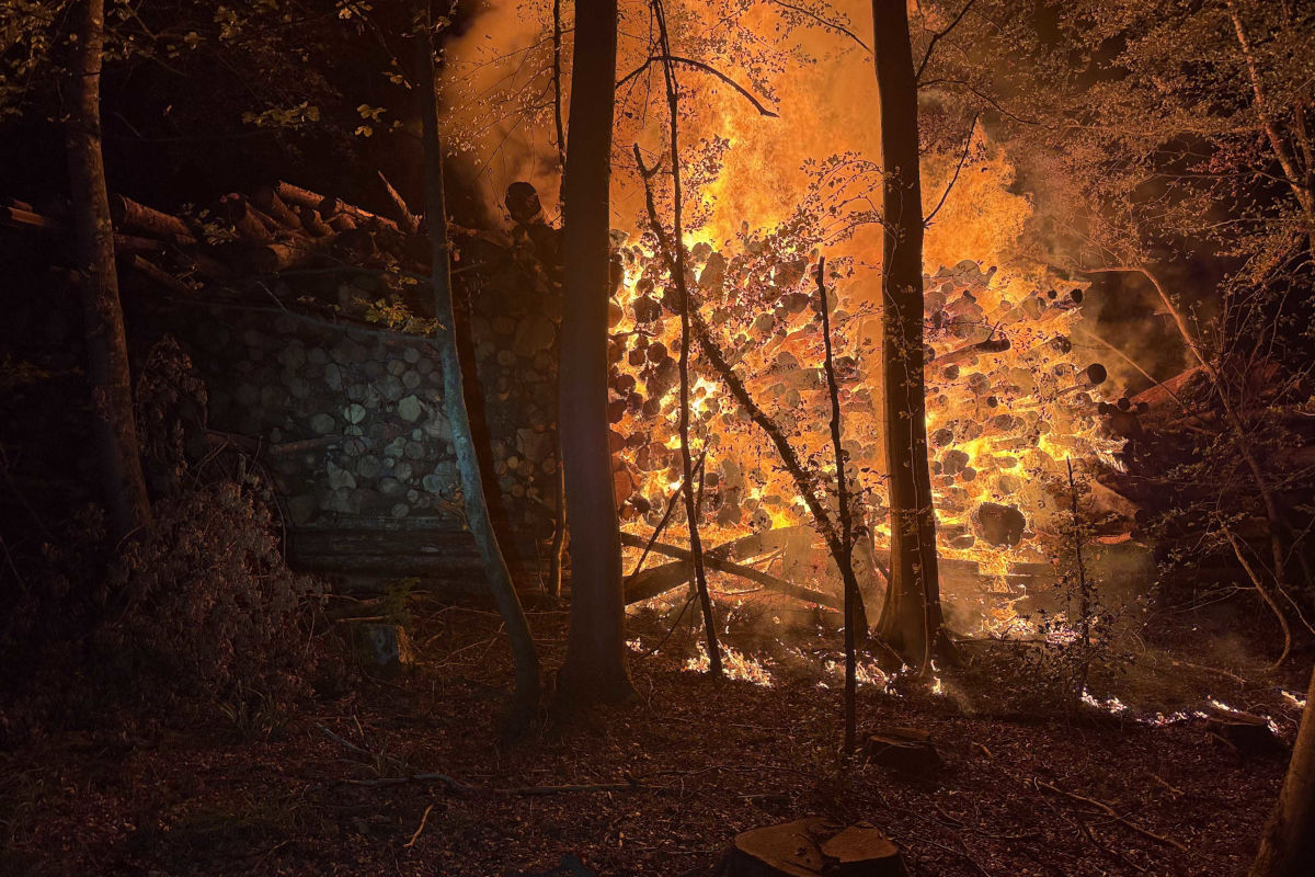 Beim Einstreffen der Einsatzkräfte stand der Holzstapel aus Baumstämmen bereits in Vollbrand.