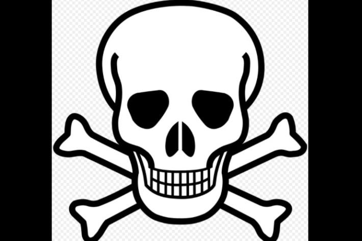 Vorsicht vor Ködern mit Rattengift in Saarbrücken